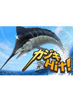 カジキHit!